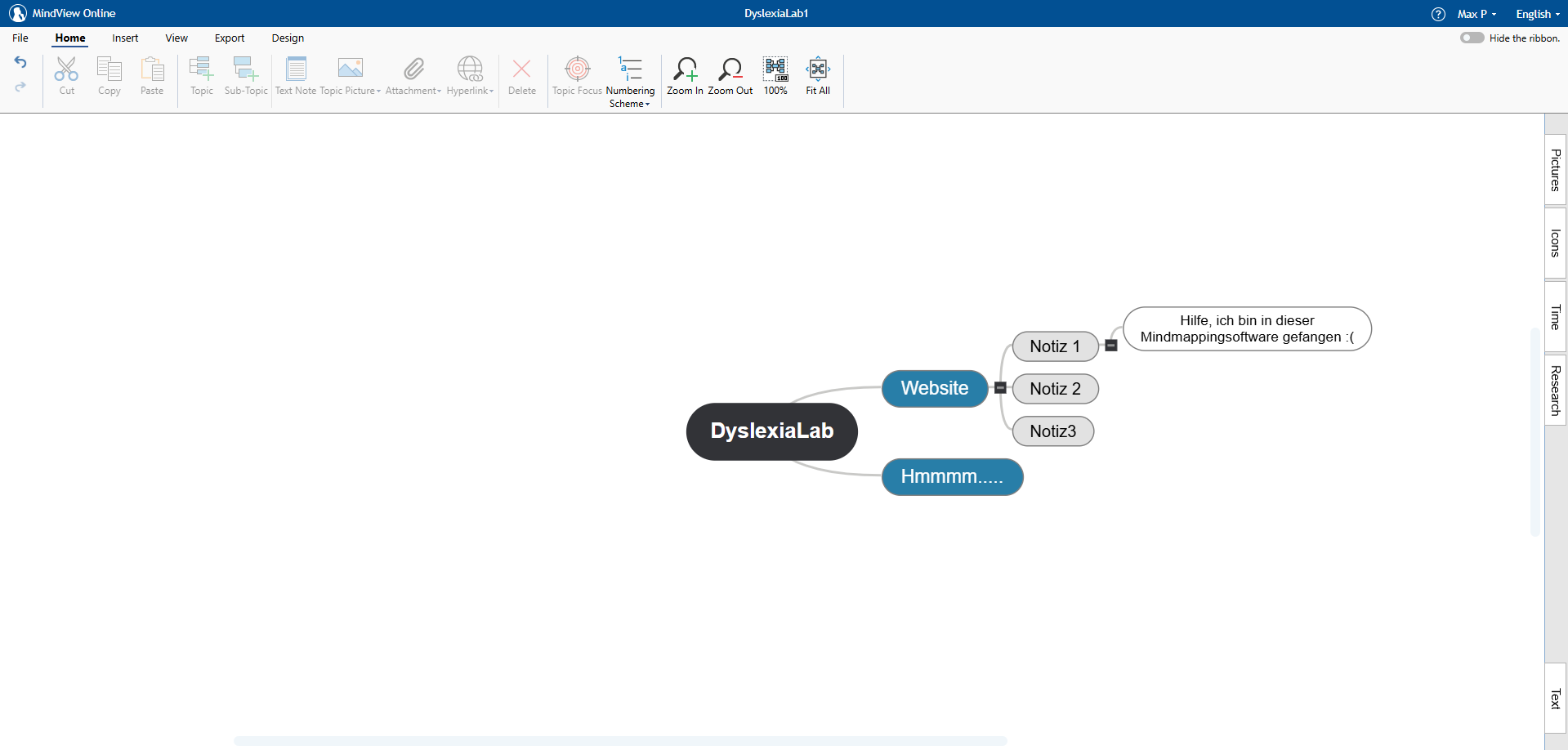 Mindview Demonstration